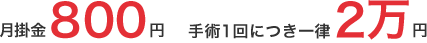 月掛金800円 手術1回につき一律2万円