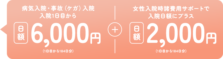 大人向けコースの日額