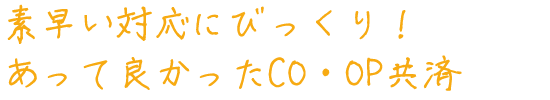 素早い対応にびっくり！あって良かったCO・OP共済