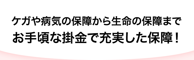 ケガや病気の保障から生命の保障まで お手頃な掛金で充実した保障！