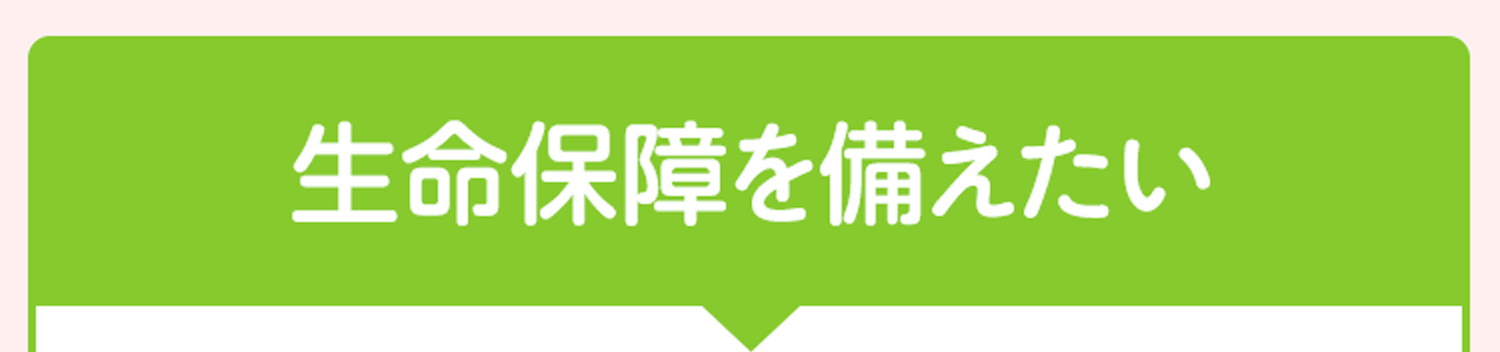 生命保障を備えたい