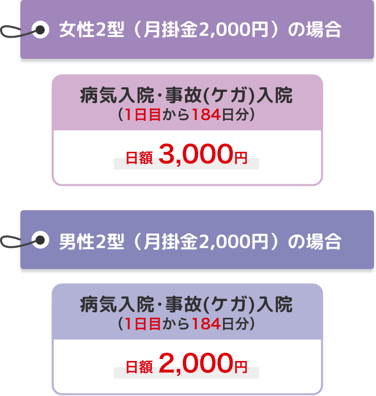 女性2型 (月掛金2,000円) の場合 男性2型 (月掛金2,000円) の場合