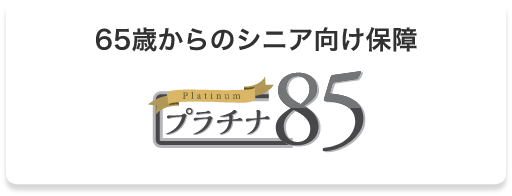 65歳からのシニア向け保障