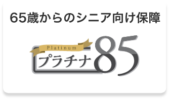 65歳からのシニア向け保障