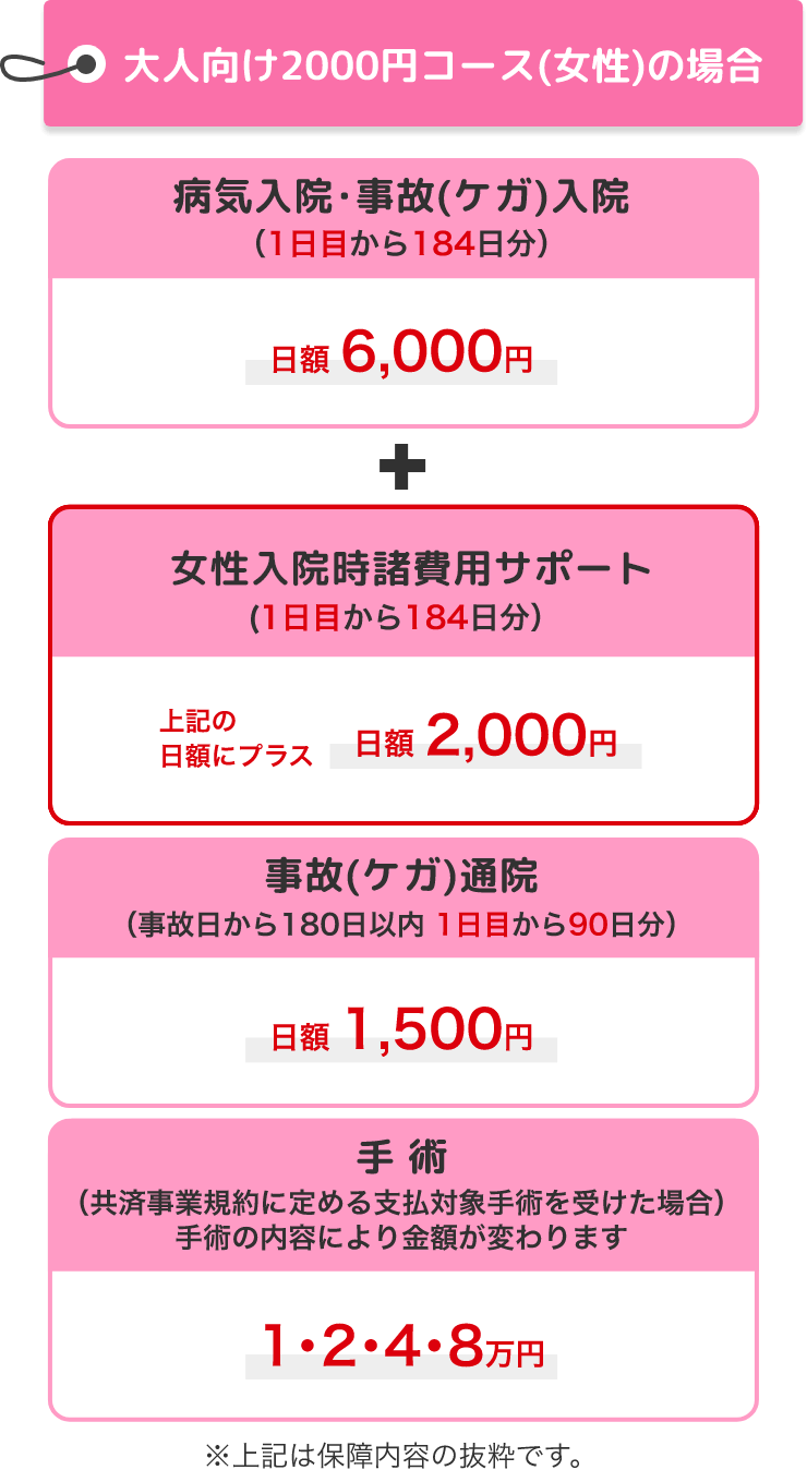 大人向け2000円コース(女性)の場合