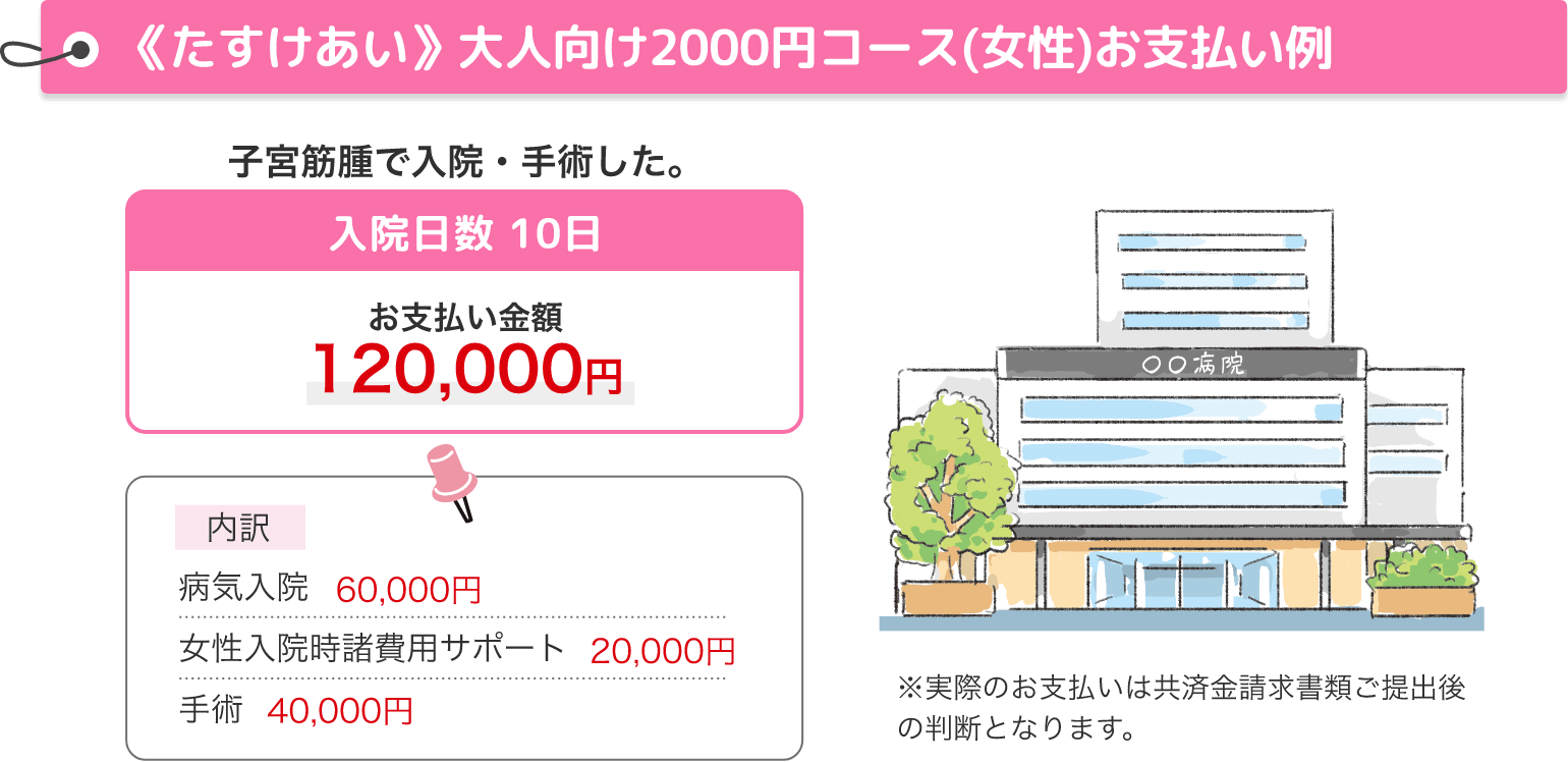 《たすけあい》大人向けコース2000円コース（女性）お支払い例
