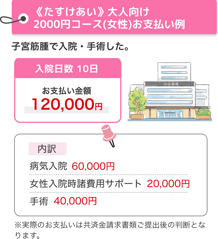 《たすけあい》大人向けコース2000円コース（女性）お支払い例