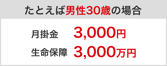たとえば男性30歳の場合