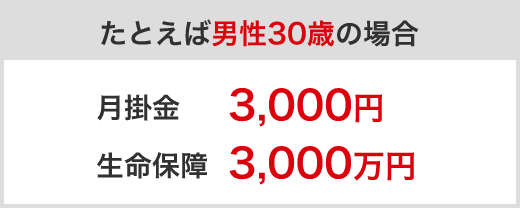 たとえば男性30歳の場合
