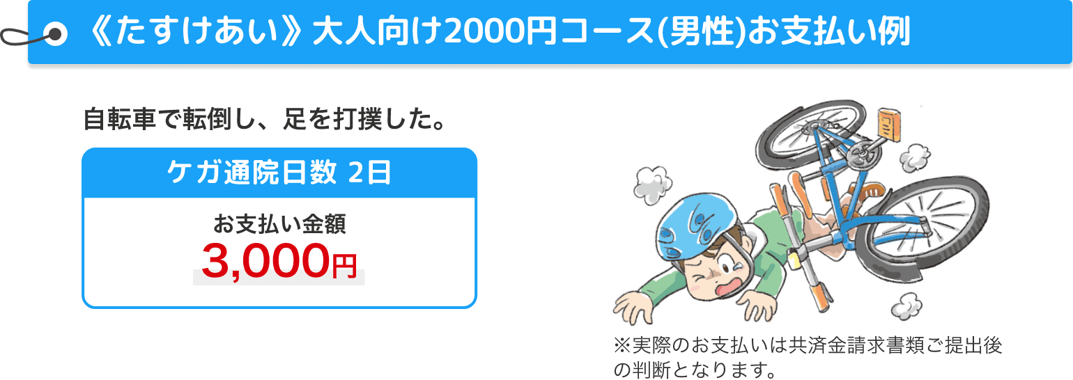 《たすけあい》大人向け2000円コース(男性)お支払い例