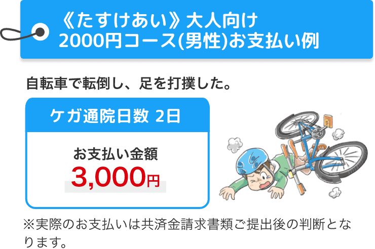 《たすけあい》大人向け2000円コース(男性)お支払い例