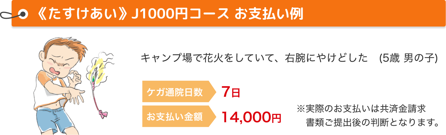 《たすけあい》J1000円コース お支払い例