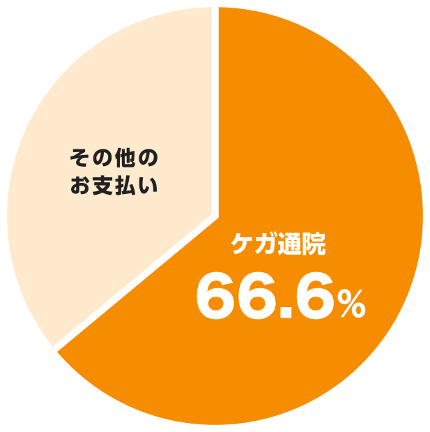 ケガ通院：66.6% / その他のお支払い