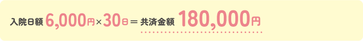 共済金額180,000円