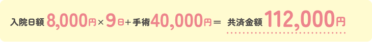 共済金額112,000円
