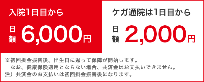 入院1日目から日額6,000円　ケガ通院は1日目から日額2,000円　※初回掛金振替後、出生日に遡って保障が開始します。なお、健康保険適用とならない場合、共済金はお支払いできません。注）共済金のお支払いは初回掛金振替後になります。